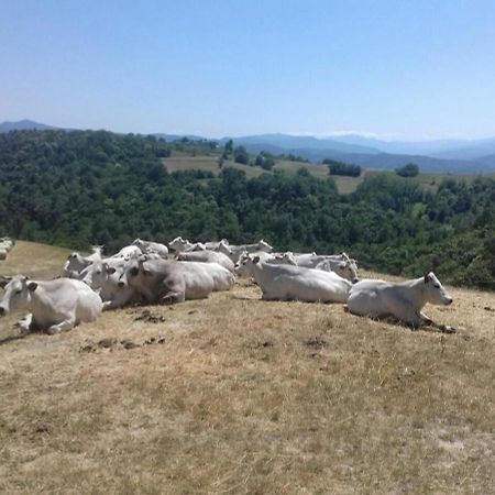 Residenza Anastasia Ceva Dış mekan fotoğraf