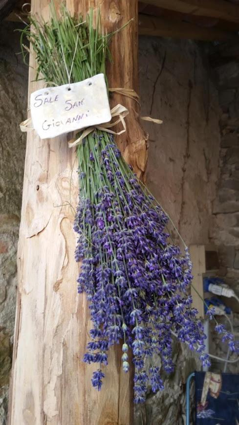 Residenza Anastasia Ceva Dış mekan fotoğraf